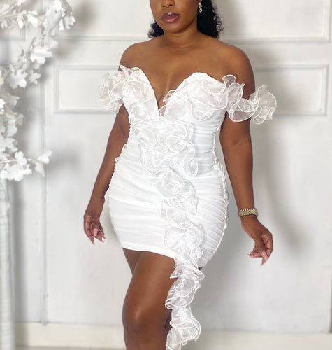 Nikki Bday Dress